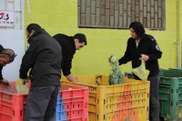 police-volunteers-3-200x133